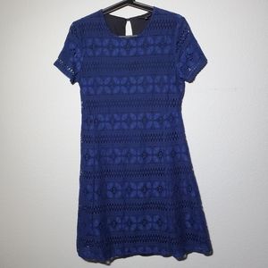 Alison Andrew's Lace Navy Dress